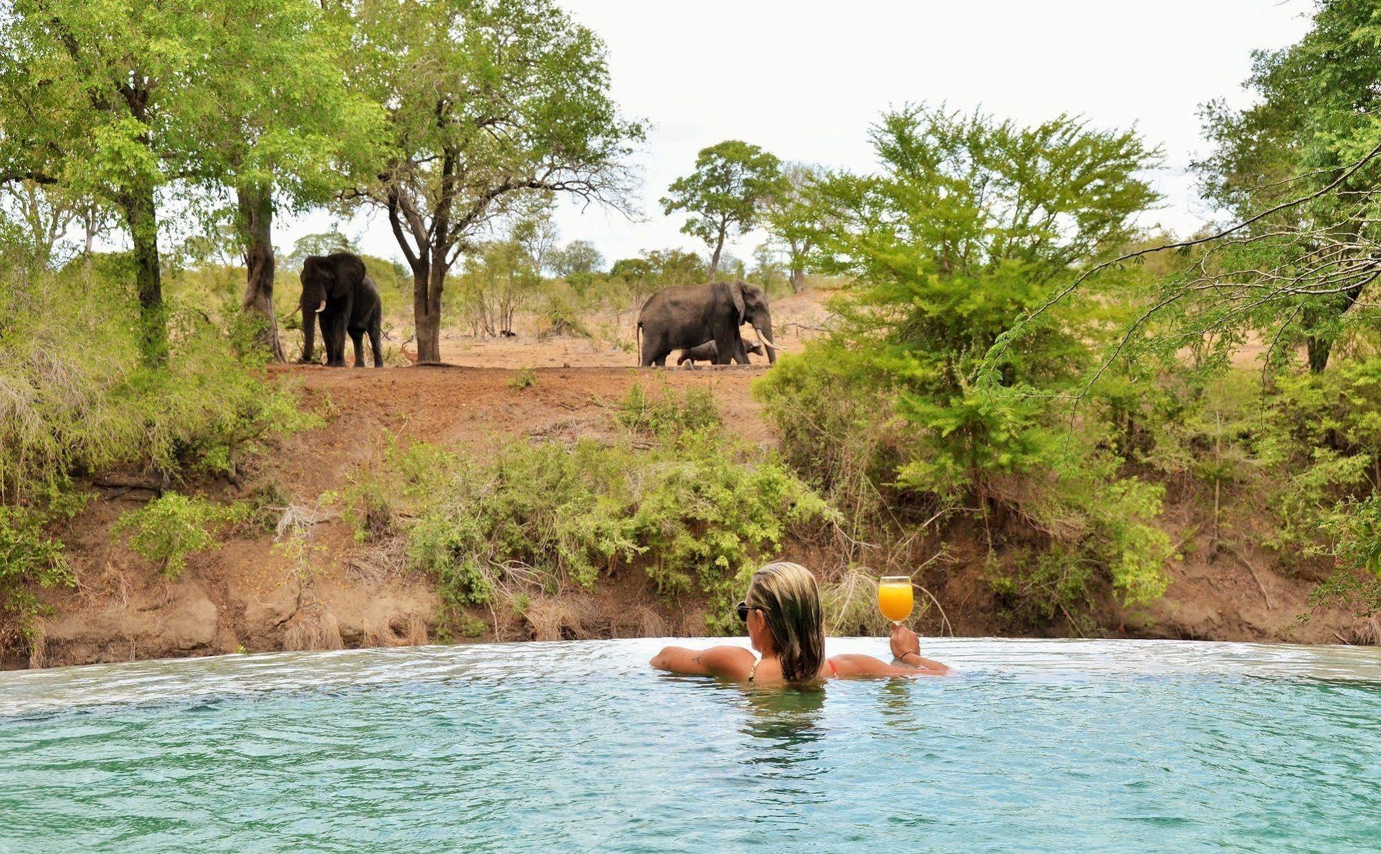 Imbali Safari Lodge Mluwati Concession Extérieur photo