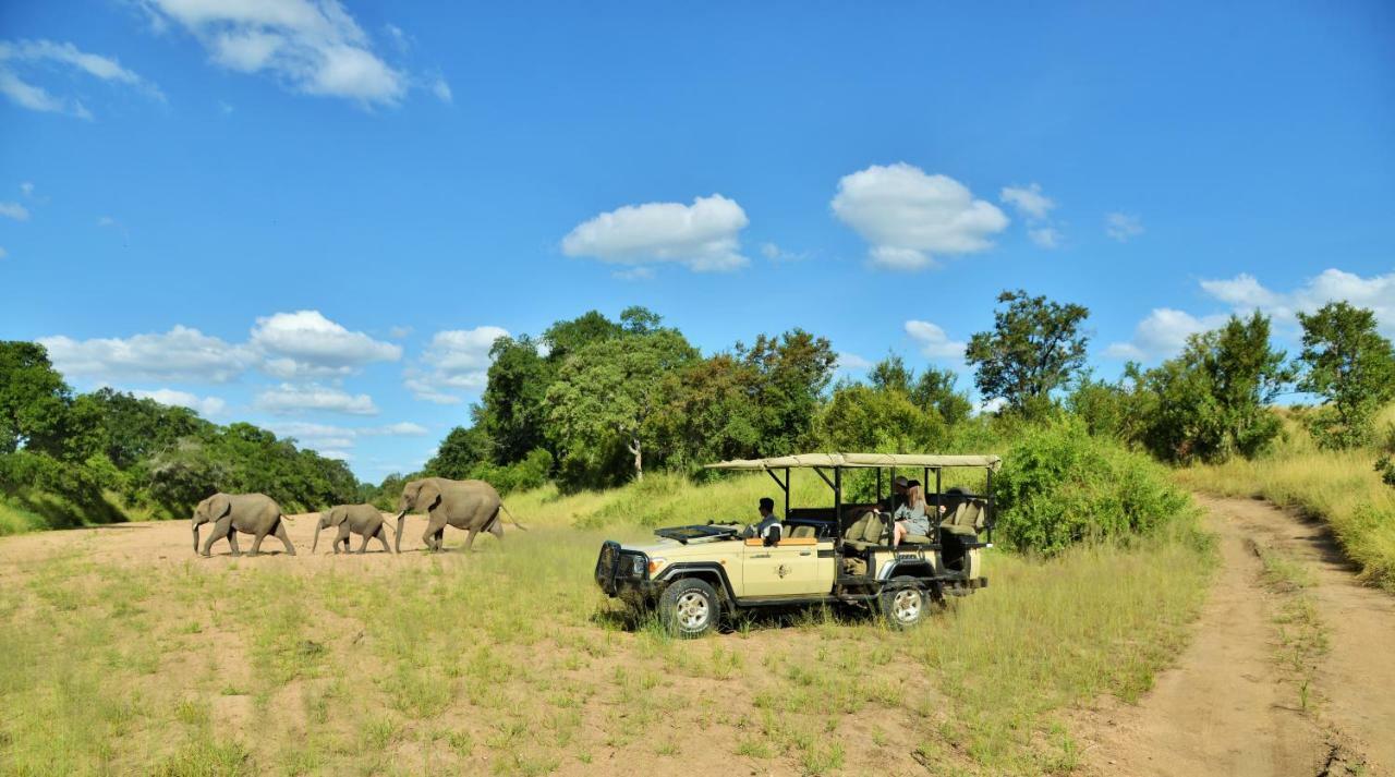 Imbali Safari Lodge Mluwati Concession Extérieur photo