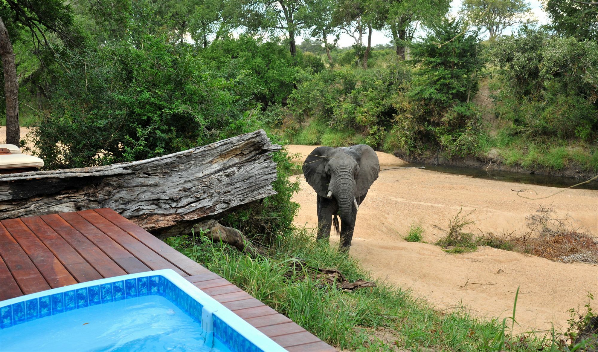 Imbali Safari Lodge Mluwati Concession Extérieur photo