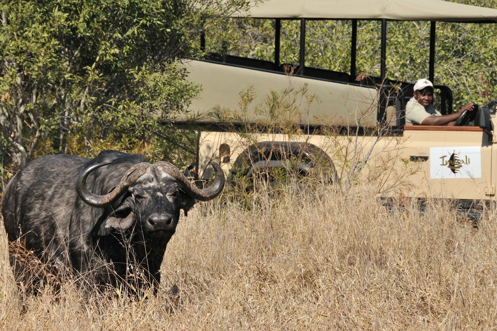 Imbali Safari Lodge Mluwati Concession Extérieur photo